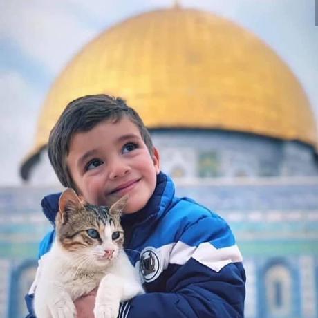 Tecno14 Wael Had Github - Dark Patterns - Gorgeous 4K Collection