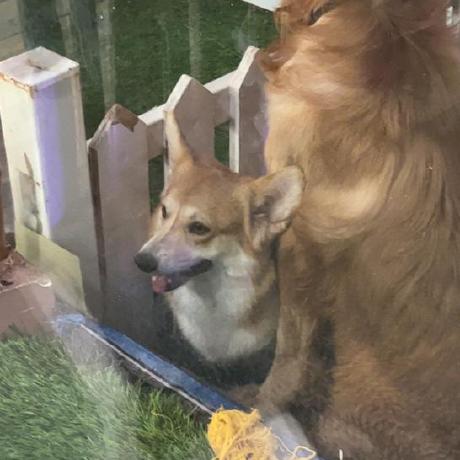 Karim Hussein Ai Karim Hussein Github - High Quality Desktop Colorful Wallpapers | Free Download