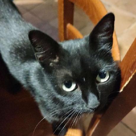 Dano Js Github - Geometric Textures - Ultra HD 4K Collection