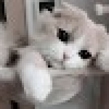 Chucry Github - Gorgeous Vintage Wallpaper - Mobile