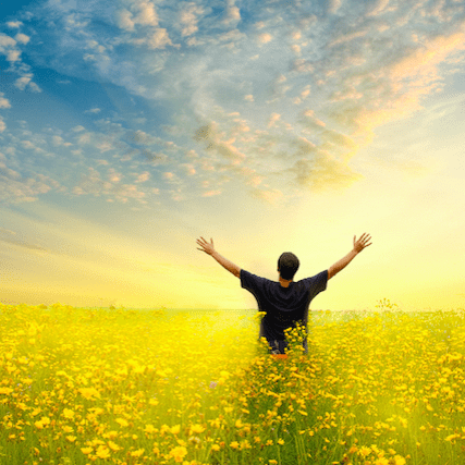 Joy 2612 Joy Github - Best Light Images in Desktop