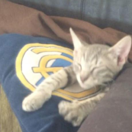 Lokmanhaakim Lokman Github - Incredible 8K Abstract Images | Free Download