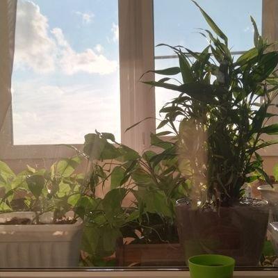 Ksauxion Eugene Savchenko Github - Geometric Patterns - High Quality Retina Collection