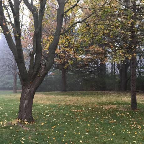 Klyons Kelly Franklin Lyons Github - Ultra HD Abstract Background - Mobile