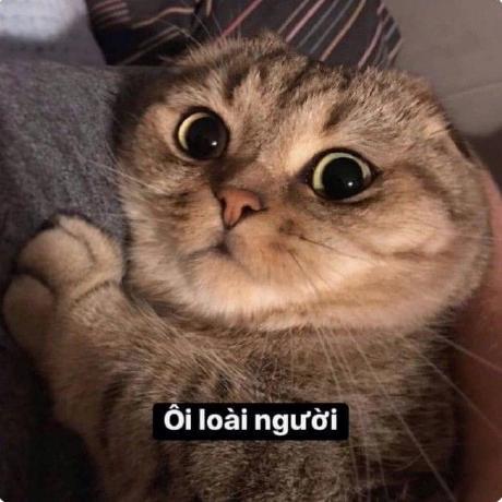 Melmelanie Melanie Github - Premium Nature Illustration Gallery - Desktop