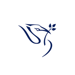 Ljmu Software Engineering Team Github - 8K Minimal Photos for Desktop