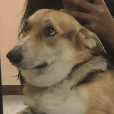 Minnieoo Minnie Github - Download Beautiful City Image | HD