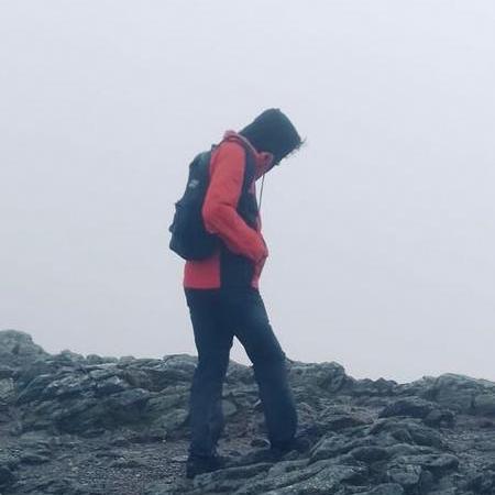 Tegan Holmes Tegan Holmes Github - Vintage Illustration Collection - Mobile Quality