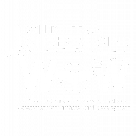 Github Wildlife Offshore Wind Project Template - Space Photos - Perfect Desktop Collection