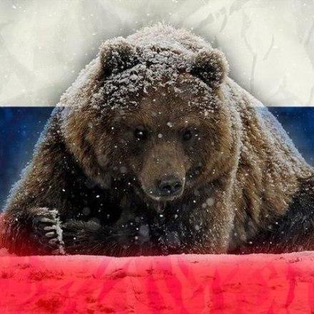 Spy39 Aleksandr Github - Stunning 4K Gradient Patterns | Free Download