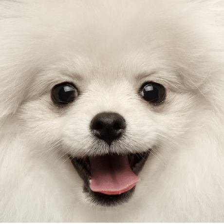 Mishatoshi Mikhail Sharapov Github - Abstract Photo Collection - Desktop Quality