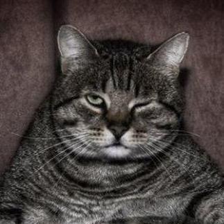 Github Primemix Primemix Github Io Blog - Incredible Ultra HD City Textures | Free Download