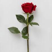 Github Menasy Menasy - Download Stunning Ocean Wallpaper | Desktop