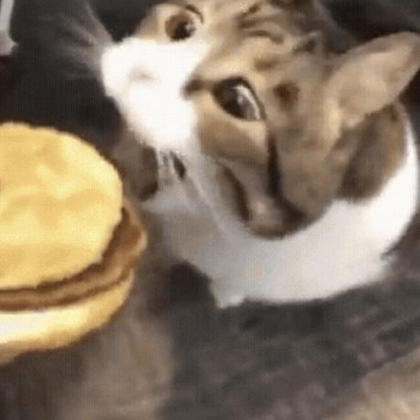 Madekhar Nera Github - Download Premium Gradient Image | Full HD