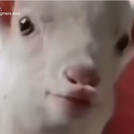 Github Tuananhwork Refine App - Mobile Colorful Arts for Desktop