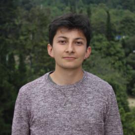 Github Camilobetanieto Deepbeliefnetwork Analysis And Implementation - Nature Backgrounds - Incredible 4K Collection