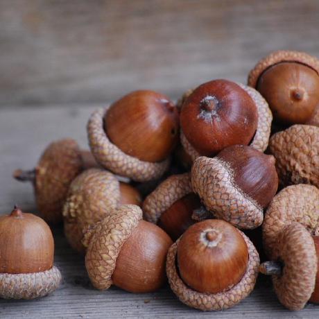 Github Johncodez Acorn - 4K Sunset Wallpapers for Desktop