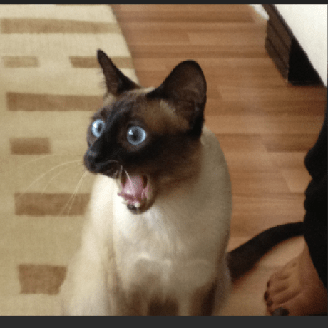 Ceciliazyy Ceci Github - Mobile Space Textures for Desktop