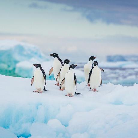 Spherehua Sphere Hua Github - Professional Ultra HD Nature Patterns | Free Download