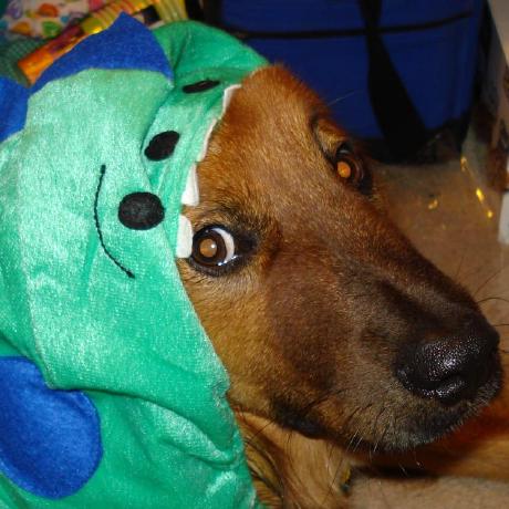 Mikrause79 Michael Krause Github - Premium Geometric Wallpaper Gallery - Retina