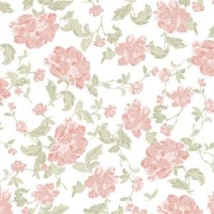 Project Rika Github - Colorful Photos - Creative Full HD Collection