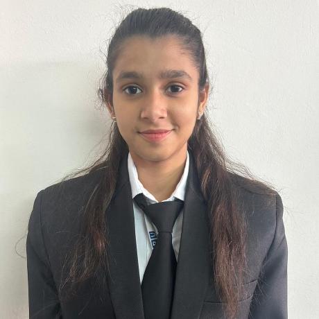 Misty 42 Misty Github - Best Sunset Illustrations in High Resolution