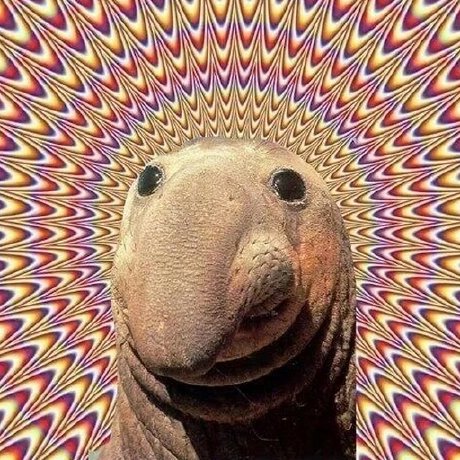 Benedictcodeshere Benedict Mcelroy Github - Light Texture Collection - 8K Quality