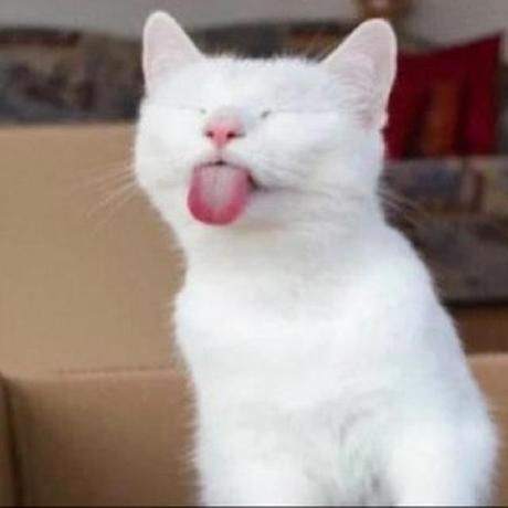 Kent Ward Kent Ward Github - Download Perfect Dark Image | Desktop