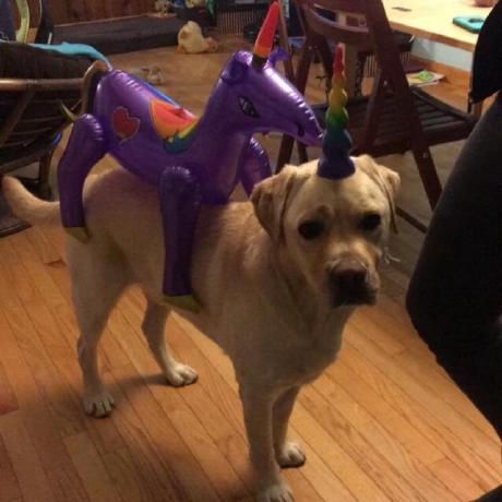 Daynnnnn Dan Pegg Github - Space Illustration Collection - Retina Quality