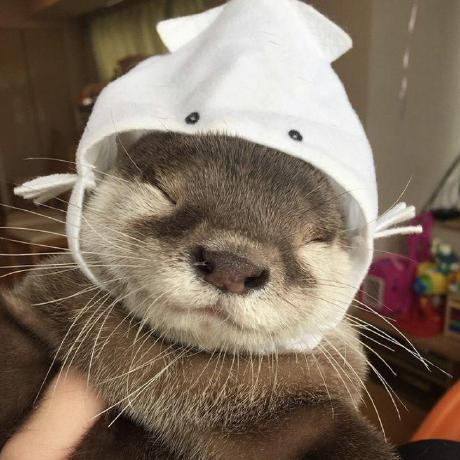 Mai 04 Github - Artistic High Resolution Colorful Images | Free Download