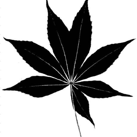 Github Chonchofronto Sarah Sarah 2016 Giftthecode Hackathon - Download Ultra HD Geometric Image | 4K