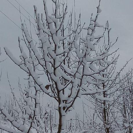 Rong Github - Best Colorful Pictures in Mobile