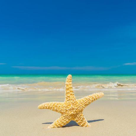 Github Farisdurrani Wise - Modern High Resolution Vintage Images | Free Download