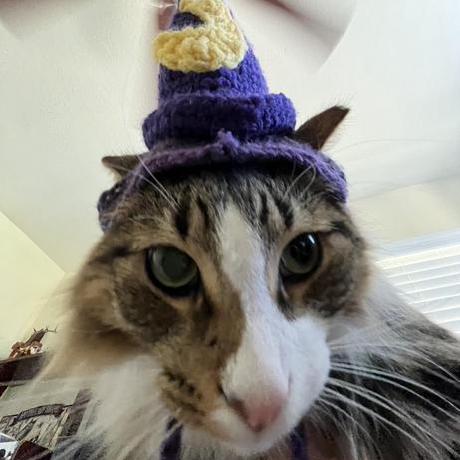 Landonmoss Landon Moss Github - Best Abstract Wallpapers in Ultra HD