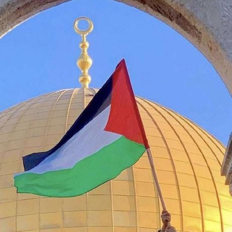 Open Palestine Github - Perfect 4K Abstract Backgrounds | Free Download