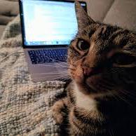 Github Ilyas Farah Static Route - Colorful Backgrounds - Amazing Mobile Collection