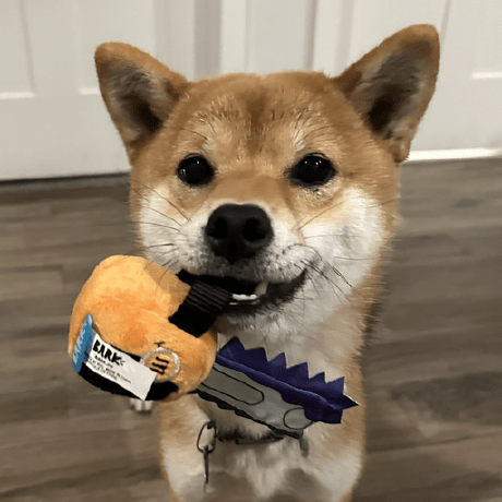 Leo Graham Github - Premium Minimal Image Gallery - 4K