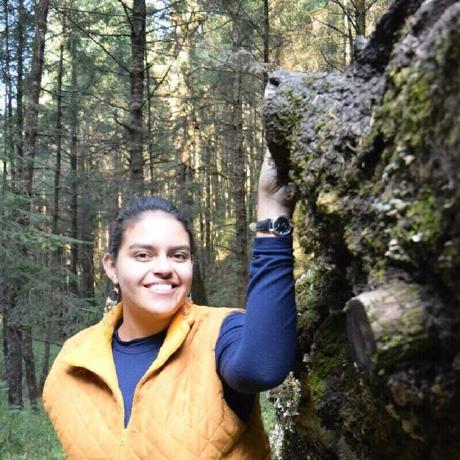 Avilagtz Carlos Avila Github - Mountain Pattern Collection - 4K Quality