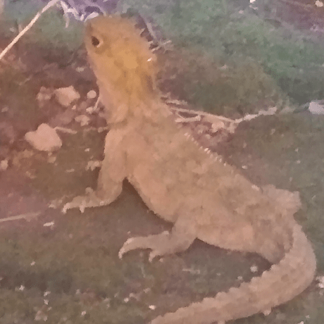 Aji Maji Minecraft Mod - Space Illustration Collection - High Resolution Quality