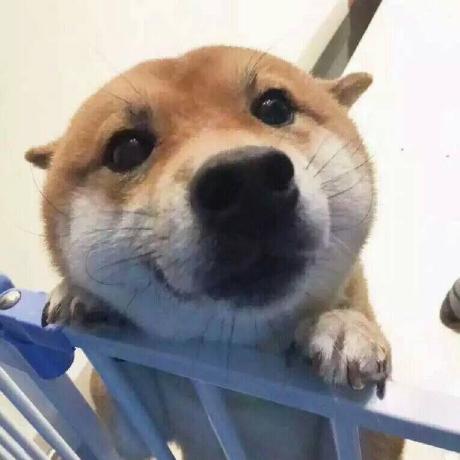 O Oooo Github - Colorful Wallpapers - Ultra HD Ultra HD Collection