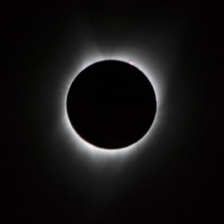 Silver Horizon Github