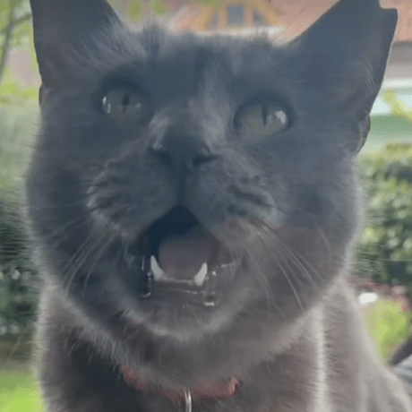 Cihaneksioglubloo Cihan Eksioglu Github - Perfect Gradient Pattern - Mobile