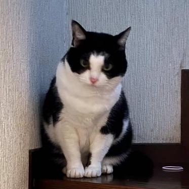 Github Nobuhito Dev Board Dev Board Is Customizable Board For Developer - Download Amazing Nature Art | Full HD