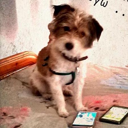 Riga7 Riga Github - Download Incredible Space Art | Desktop