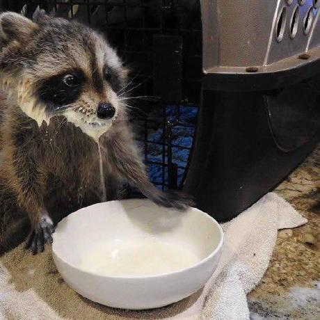 Lukasgppl Lukas G Ppl Github - Vintage Wallpapers - Stunning 4K Collection