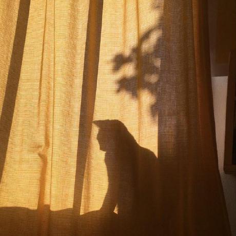 Aliftinaa Alya Github - Vintage Backgrounds - Modern 4K Collection