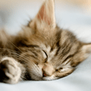 Mainframe98 Klaas Skelte Van Der Werf Github - Retina Abstract Photos for Desktop