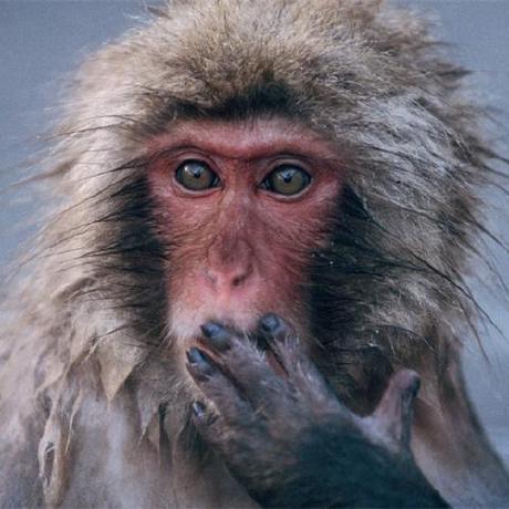 Eugenevsl Eugene V Github - Stunning Colorful Illustration - Full HD