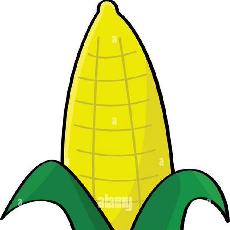 Randallcorn Randall Corn Github - Professional Full HD Sunset Wallpapers | Free Download