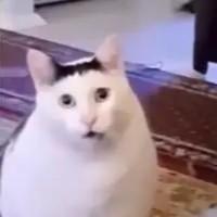 Github Fxrll Code - Best Light Textures in HD